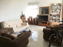 Mandarin Gardens (D15), Condominium #163761312